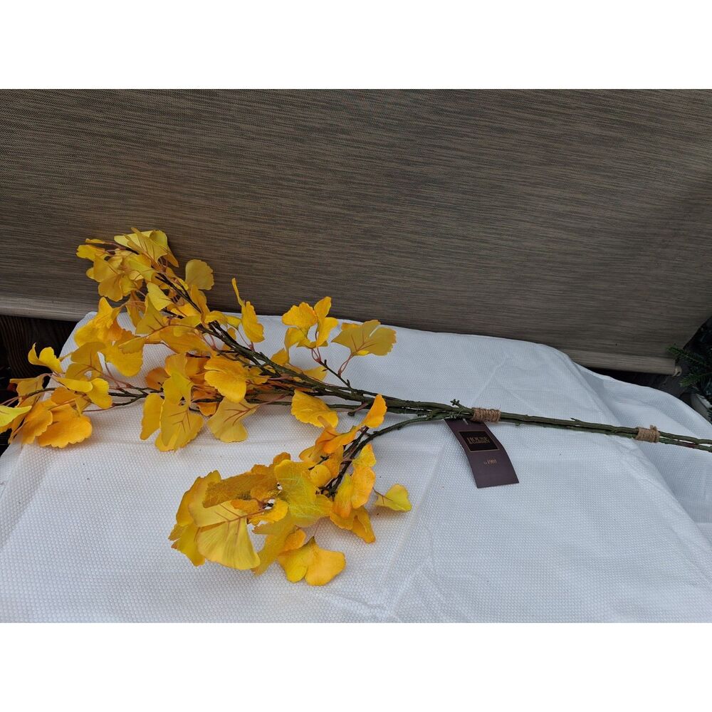 Fall ginkgo leaf stems, new